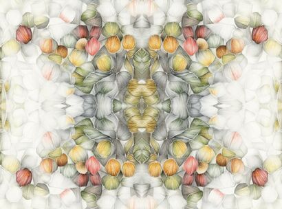 HYPNOTIC ORNAMENT I - a Digital Graphics and Cartoon Artowrk by Beatriz Finkielsztejn